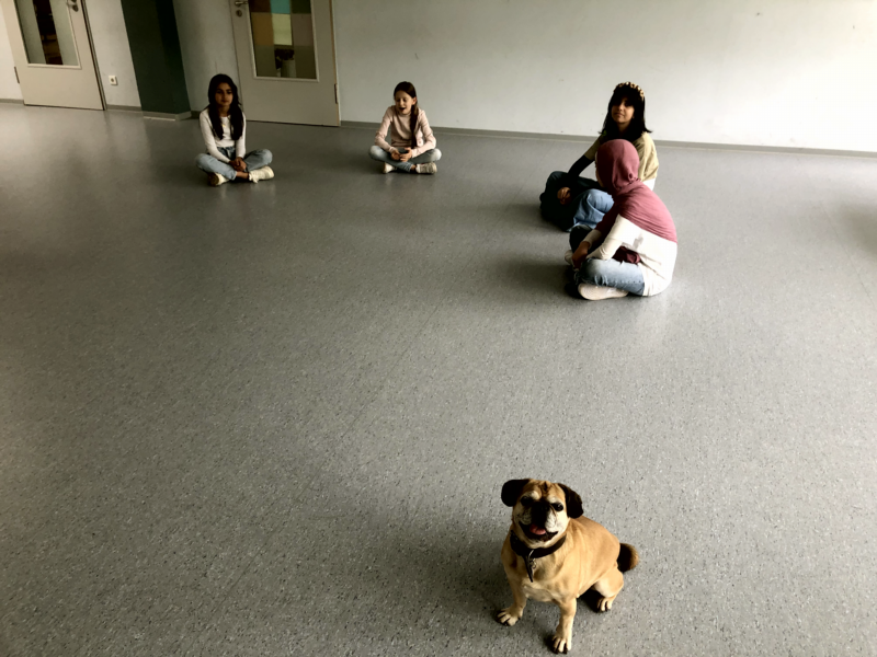 IMG 0123 DCE