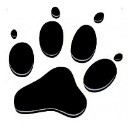 tatze