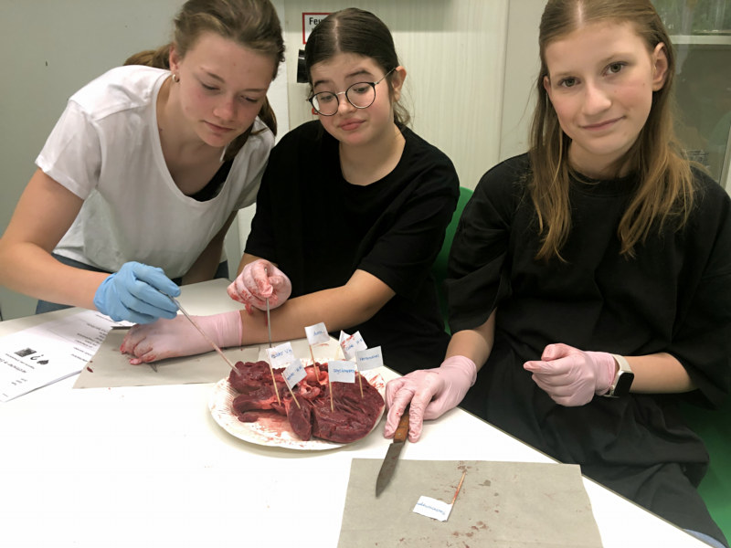 schweineherz2